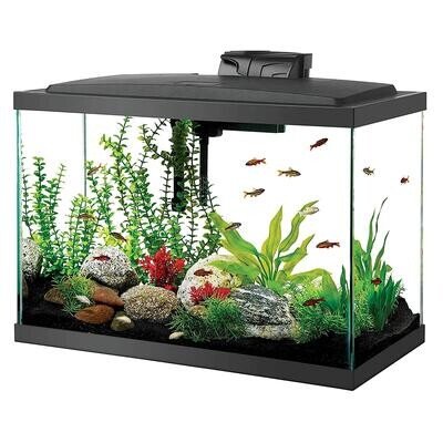 AQUARIUM POTS WITH LED LIGHTS