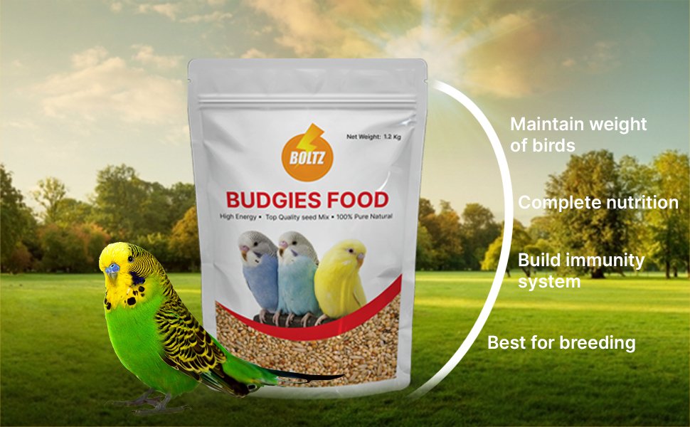 BUDGIES FOOD