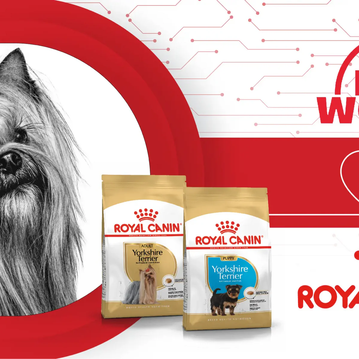 ROYAL CANIN (1KG,4KG,12KG)