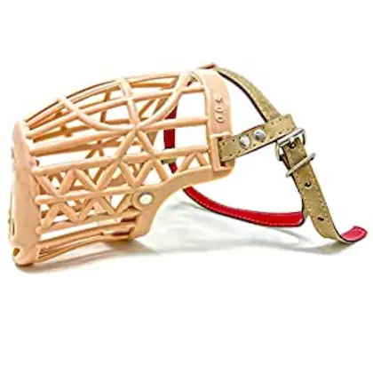 MOUTH GUARD